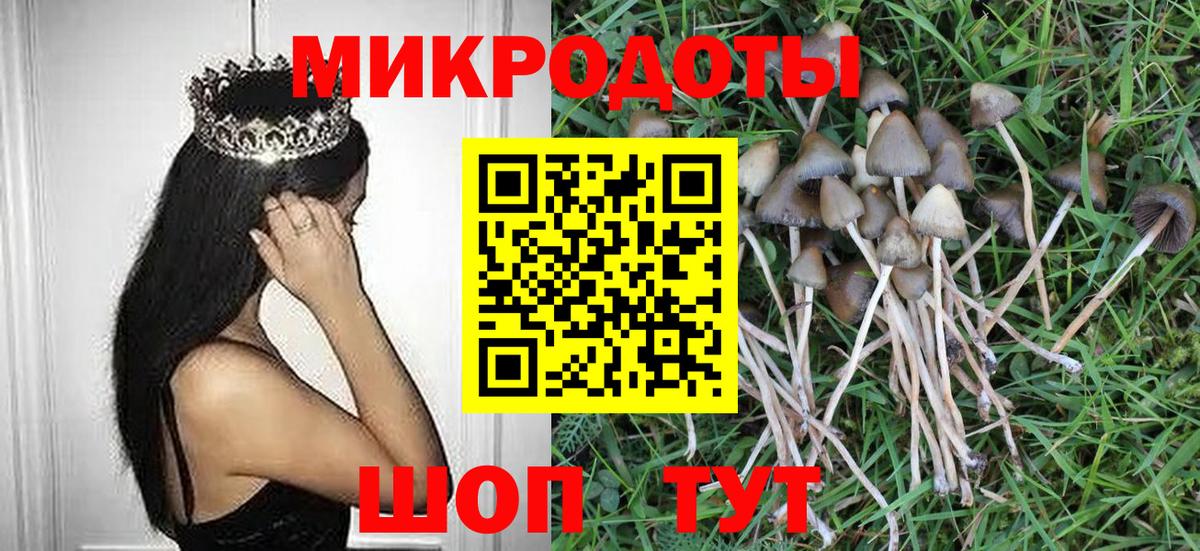 Псилоцибиновые грибы Magic Shrooms Узловая