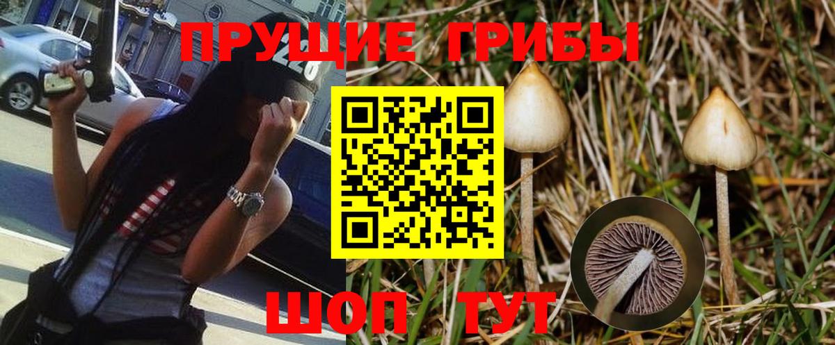 Галлюциногенные грибы MAGIC MUSHROOMS  Вход с VPN  Узловая 